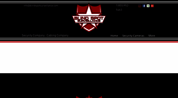 blindspotsurveillance.com