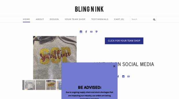 blingnink.com