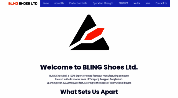 blingshoesltd.com