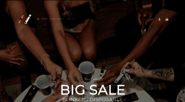 blinkerdisposable.com