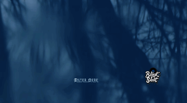 blinkshotphotos.com