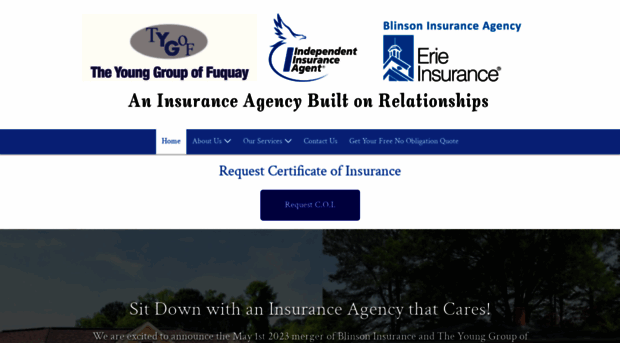 blinsoninsurance.com