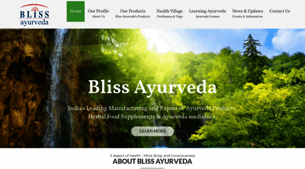 blissayurveda.com