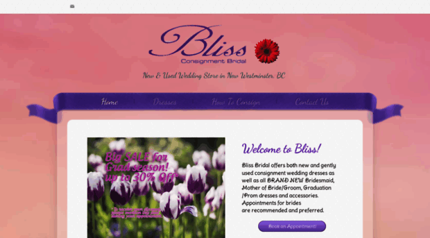 blissconsignment.com