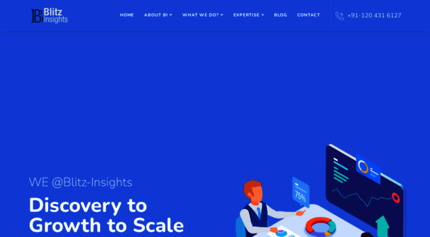 blitz-insights.com