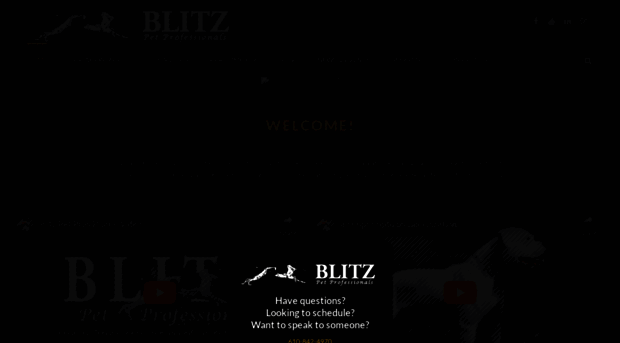 blitzpetpros.com