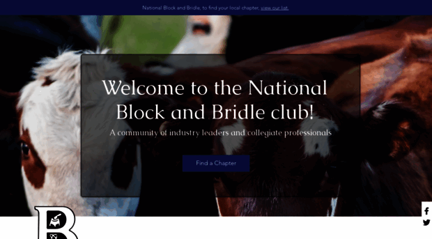 blockandbridle.org