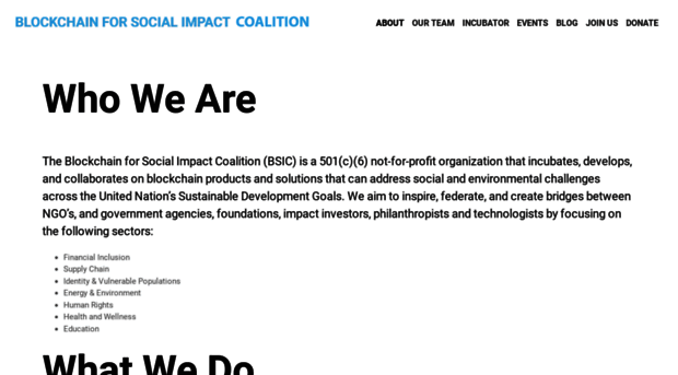 blockchainforsocialimpact.com