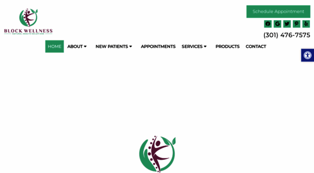 blockchiropracticcenter.com