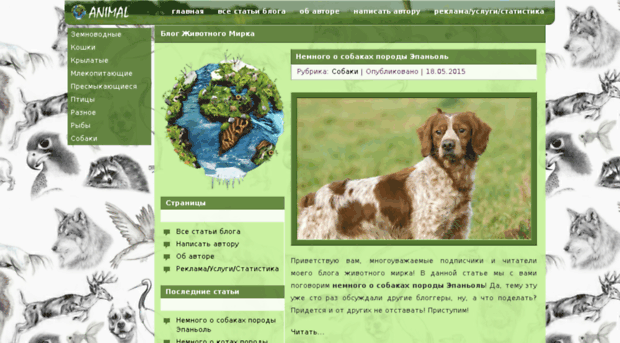 blog-animal-mirok.ru