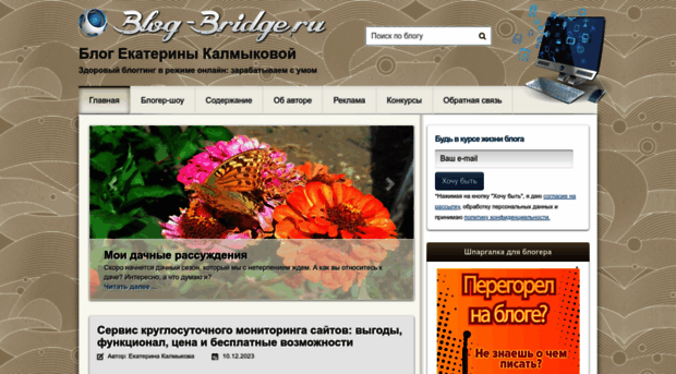blog-bridge.ru