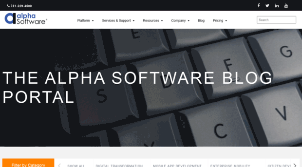 blog.alphasoftware.com