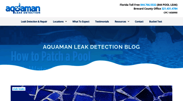 blog.aquamanleakdetection.com