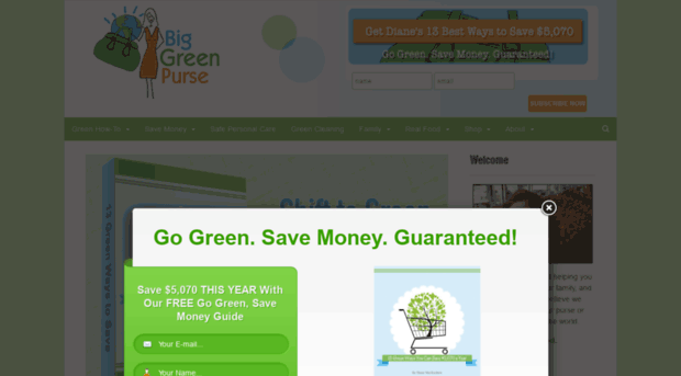 blog.biggreenpurse.com