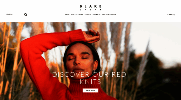 blog.blake-ldn.com