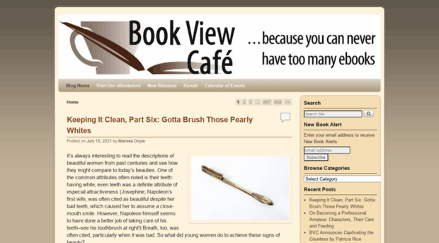 blog.bookviewcafe.com