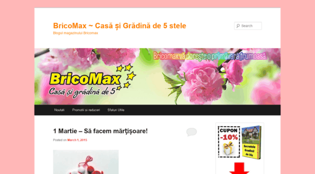 blog.bricomax.md