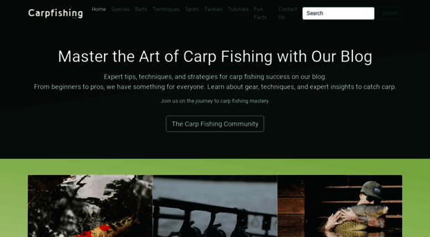 blog.carpfishing.app