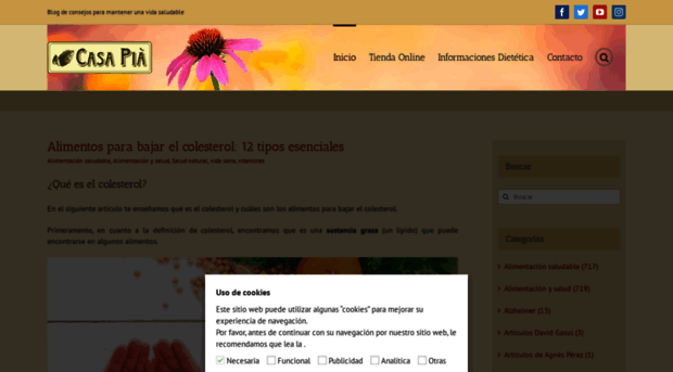 blog.casapia.com