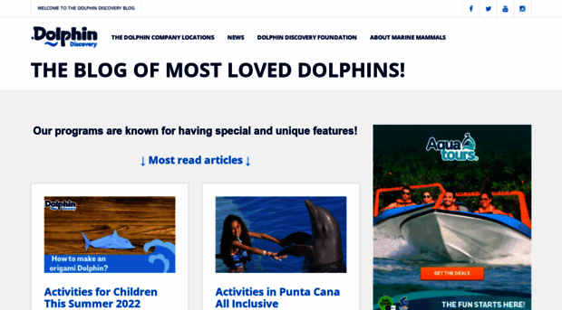 blog.dolphindiscovery.com