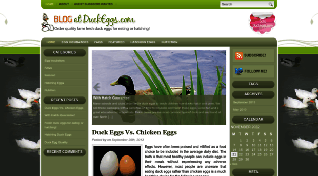 blog.duckeggs.com