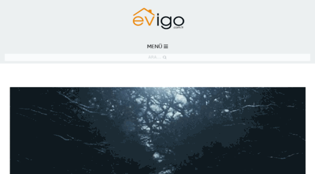 blog.evigo.com.tr