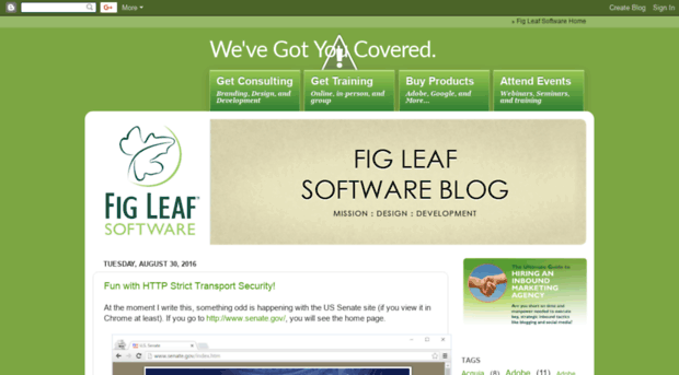 blog.figleaf.com