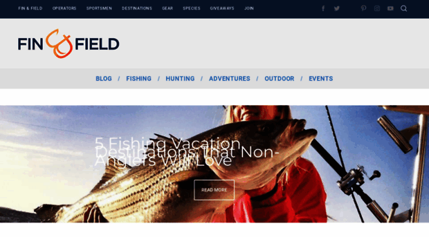 blog.finandfield.com
