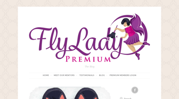blog.flyladypremium.com