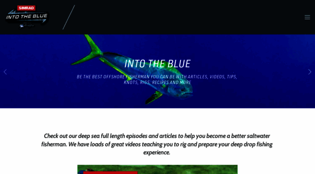 blog.intothebluefishing.com