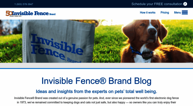 blog.invisiblefence.com