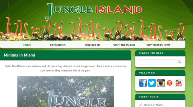 blog.jungleisland.com
