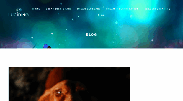 blog.luciding.com