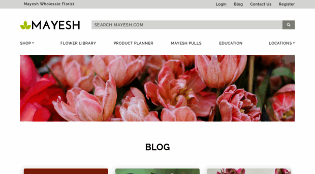 blog.mayesh.com