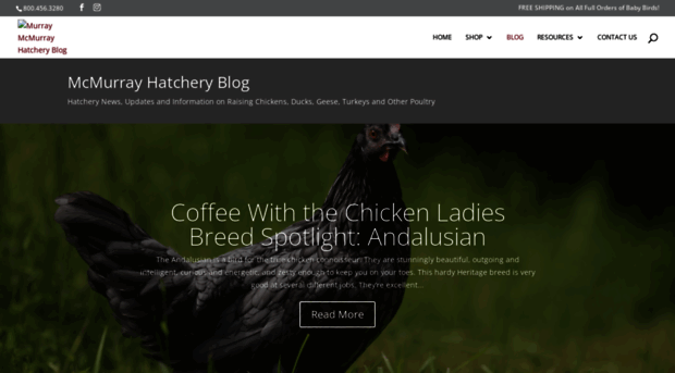 blog.mcmurrayhatchery.com