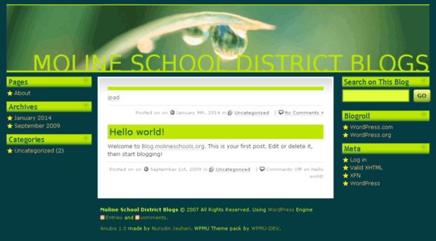 blog.molineschools.org