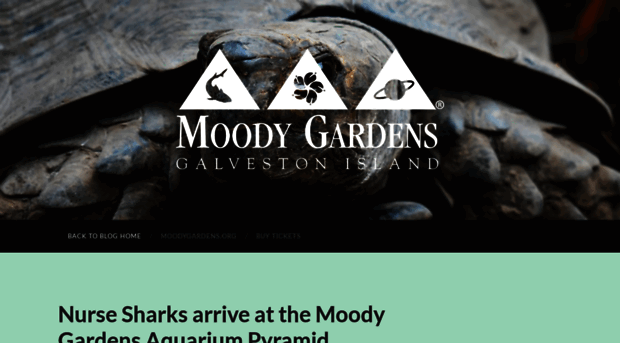 blog.moodygardens.com