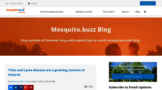 blog.mosquito.buzz