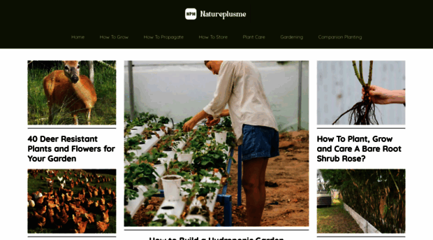 blog.natureplusme.com