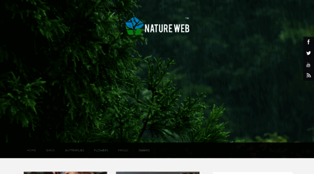 blog.natureweb.net