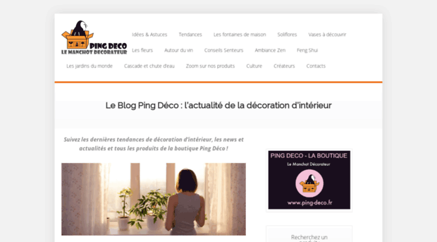 blog.ping-deco.fr