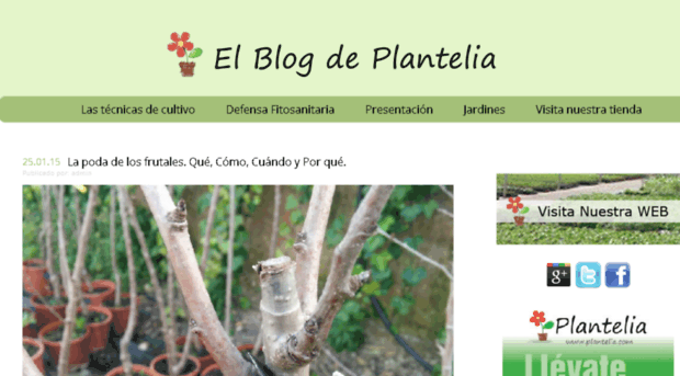 blog.plantelia.com