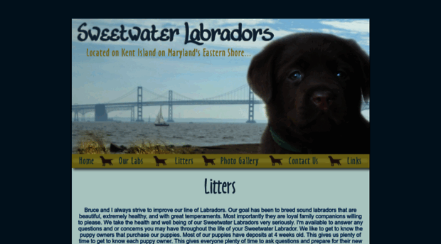 blog.sweetwaterlabradors.com