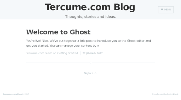 blog.tercume.com