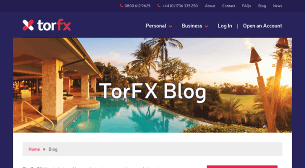 blog.torfx.com