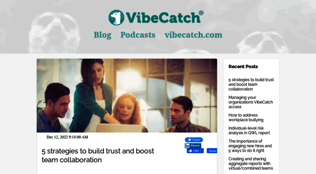 blog.vibecatch.com