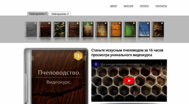 blog.videopaseka.ru