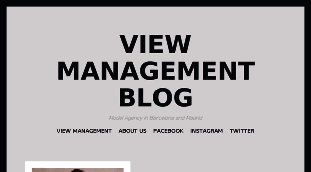 blog.viewmanagement.com