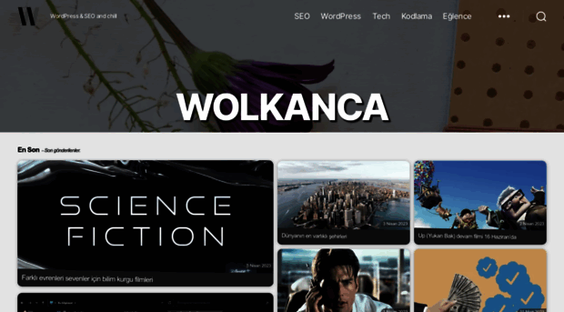 blog.wolkanca.com