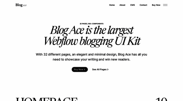 blogace.webflow.io